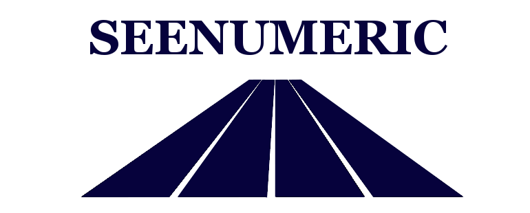 Logo Seenumeric